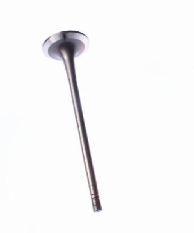 Exhaust Valve 37504-30200 for Mitsubishi Engine S12R-PTA