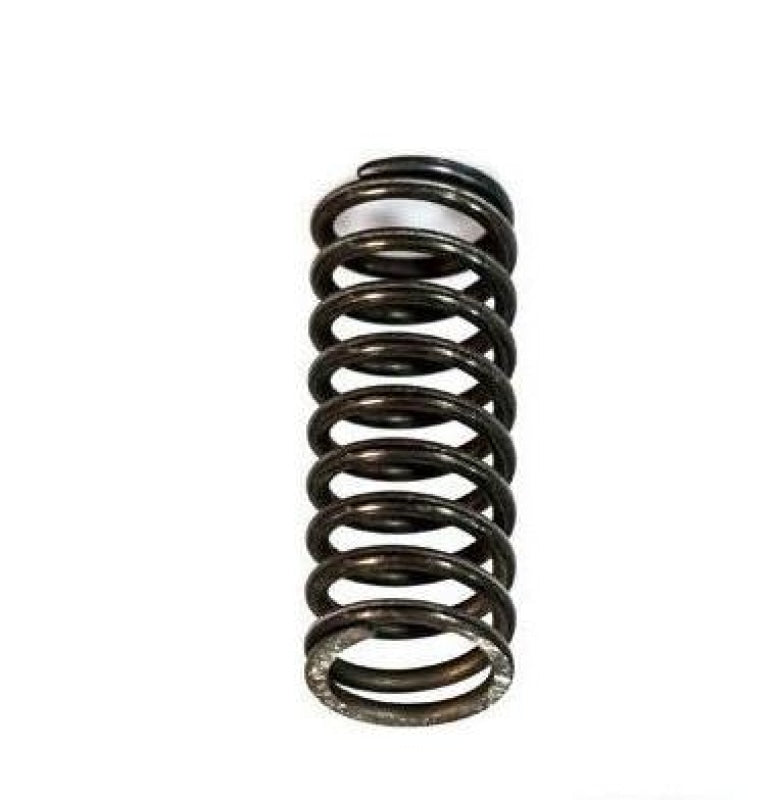 External Valve Spring 466384 for VOLVO TAD740