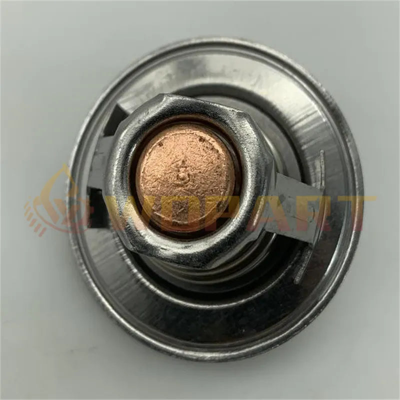 Thermostat 751-40982 750-40981 for Lister Petter LPA LPW LPWS